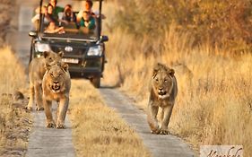 Morokolo Safari Lodge Self-Catering